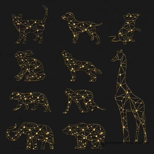 Animaux lumineux