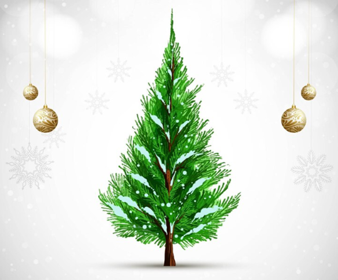 Sapin de Bonheur